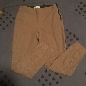 Everlane Side-Zip Work Pant in Stretch Cotton